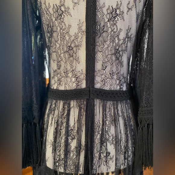 Alice McCall black lace dress, sheer w/ tassels | Victorian, Gothic, Witchy Sz 4 - Picture 6 of 11